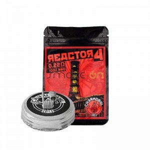 Reactor 4 5x 2,5mm 0.22ohm (2 Uds) - Chernobyl Coils