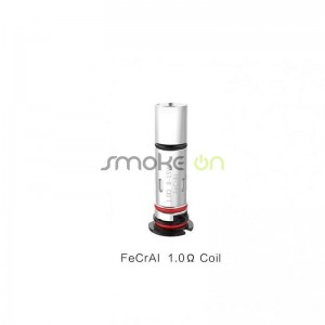 RESISTENCIA VALYRIAN 1OHM UWELL