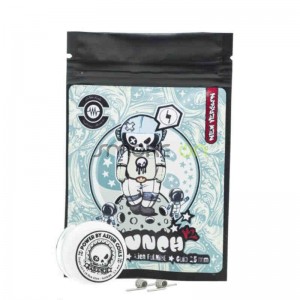 PUNCH V2 SINGLE COILS 028OHM 2 UDS ASTUR COILS